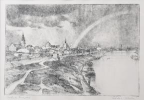 Zádor István (1882-1963): Szolnok, Tiszapart. Színezett rézkarc, papír, jelzett. 20×26,5 cm. Üvegezett fakeretben.