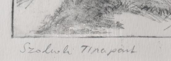 Zádor István (1882-1963): Szolnok, Tiszapart. Színezett rézkarc, papír, jelzett. 20×26,5 cm. Üvegeze...