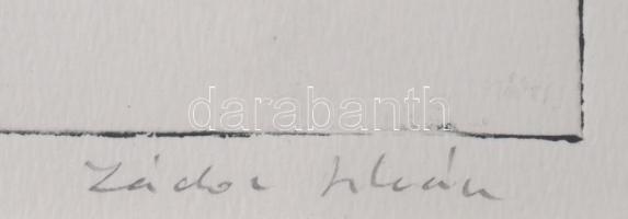 Zádor István (1882-1963): Szolnok, Tiszapart. Színezett rézkarc, papír, jelzett. 20×26,5 cm. Üvegeze...