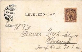 1901 Lippa, Lipova; Tűzoltótorony, utca, üzlet. Gregor Fischer kiadása / fire tower, street view, sh...