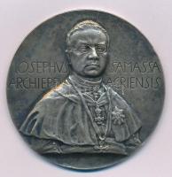 Beck Ö. Fülöp (1873-1945) 1902. "Samassa József egri érsek pappá szentelésének 50. jubileuma" Ag emlékérem. "IOSEPHVS SAMASSA ARCHIEPPV AGRIENSIS" (58,06g/0.900/56mm) T:AU,XF patina, ph. Hungary 1902. "50th Jubilee medallion of archbishop Samassa from Eger" Ag commemorative medallion. Sign.: Beck Ö. Fülöp (58,06g/0.900/56mm) C:AU,XF patina, edge error HP 804.
