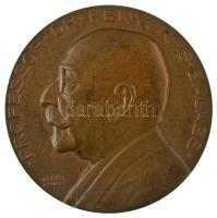 Berán Lajos (1882-1943) 1935. "Professor Dr. Kenyeres Balázs / 40 éves tanári működése emlékére" kétoldalas bronz emlékérem (60mm) T:AU