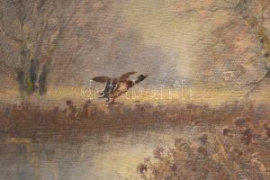 Sashegyi Kálmán, Vodicai (1886-1940): Felröppenő vadkacsa. Olaj, vászon, jelezve jobbra lent. Dekora...