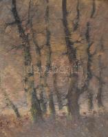 Sashegyi Kálmán, Vodicai (1886-1940): Felröppenő vadkacsa. Olaj, vászon, jelezve jobbra lent. Dekora...