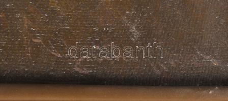 Sashegyi Kálmán, Vodicai (1886-1940): Felröppenő vadkacsa. Olaj, vászon, jelezve jobbra lent. Dekora...