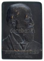Finta Sándor (1881-1958) 1914k. "Szalóki Navratil Imre Dr. egyetemi tanár 80ik születésnapja emlékére hálás tanítványai" egyoldalas bronz plakett (43x60mm) T:AU,XF