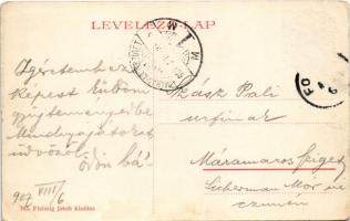 1907 Fogaras, Fagaras; Sterzing utca a kastélypark részlettel. Fleissig Jakab kiadása 765. (W.L. ?) ...