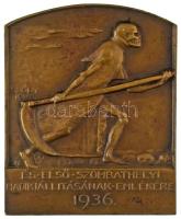 Sződy Szilárd (1878-1939) 1936. "Dr. Smidt Lajos sebész-orvos 25 éves gyűjtői jubileuma / és el...