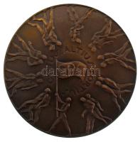 Ausztrália 1956. "Olympic Games Melbourne 1956 / CITIUS ALTIUS FORTIUS" bronz olimpiai résztvevői érem, kapszulában. Szign.: Mészáros Andor (1900-1972) (63mm) T:AU Australia 1956. "Olympic Games Melbourne 1956 / CITIUS ALTIUS FORTIUS" bronze participant's medallion in capsule. Sign.: Andor Mészáros (63mm) C:AU