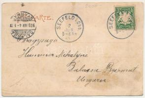 1903 Hechendorf am Seefelder See / lake, view. Art Nouveau, floral (r)