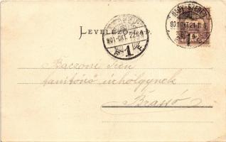 1901 Nagyszeben, Hermannstadt, Sibiu; Heltauergasse / Disznódi utca, Julius Wermescher, Carl Landman...