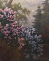 Tordai Székely Mihály (1890-1940): Virágos park. Olaj, vászon, jelzett. Dekoratív fakeretben, 60x80 ...