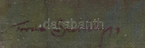 Tordai Székely Mihály (1890-1940): Virágos park. Olaj, vászon, jelzett. Dekoratív fakeretben, 60x80 ...