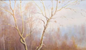 Sztojka Roland (-): Vaddisznók. Olaj, vászon, jelzett. Dekoratív fakeretben, 50x75 cm