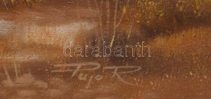 Sztojka Roland (-): Vaddisznók. Olaj, vászon, jelzett. Dekoratív fakeretben, 50x75 cm