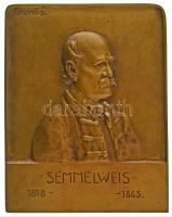 Balikó Sándor (1869-1928) DN "Semmelweis Ignác Fülöp 1818-1865" egyoldalas bronz plakett (130x102mm) T:AU
