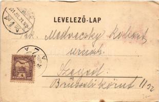 1901 Brassó, Kronstadt, Brasov; Piactér, Albina, J. L. &amp; A. Hesshaimer, Heinrich Wagner, Wil...