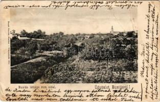 1906 Buziás, Buzias; látkép, román oldal. Nosek Gusztáv kiadása / general view, Romanian side (fa)