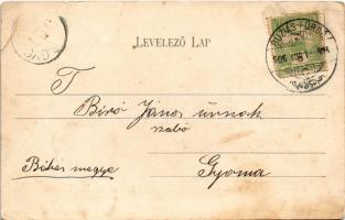 1906 Buziás, Buzias; látkép, román oldal. Nosek Gusztáv kiadása / general view, Romanian side (fa)