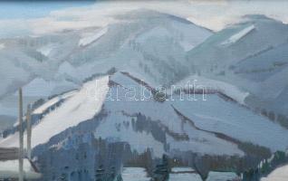 Márton Béla (1913-2007): Havas táj. Olaj, vászon, jelezve balra lent, hátoldalán Zichy Mihály Alkotó...