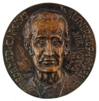 Tóth Sándor (1933-) 1981. "Waltner Károly 1894-1981 / "Amit a legkisebb testvérem közül eggyel is tettetek velem is tettétek" Máté 25,40" kétoldalas bronz emlékérem (~95mm) T:AU patina