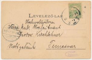 1903 Ada Kaleh (Orsova), török emléktábla Ada-Kaleh szigetén, Bego Musztafa vízipipával / Türkische ...