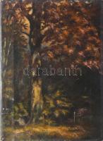 Olvashatatlan jelzéssel: Erdőrészlet. Olaj, vászon, kissé sérült, 40×29 cm