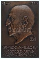 Berán Lajos (1882-1943) 1926. "Loew Sámuel 1846-1926. - DR. MED. SAMVEL LOEW - OCTOGENARIVS NVLLAM DIEM PERDIDIT" bronz egyoldalas plakett (68x100,5mm) T:AU Hungary 1926. "DR. MED. SAMVEL LOEW - OCTOGENARIVS NVLLAM DIEM PERDIDIT" one-sided bronze plaque. Sign.: Lajos Berán (68x100,5mm) C:AU