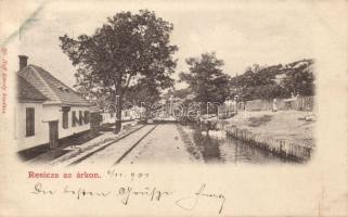 Resica by the trench