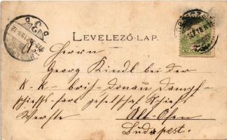 1902 Resicabánya, Resita; Kereszthegy, látkép, gyár. Weiss Adolf kiadása / Kreuzberg / general view,...