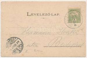 1905 Resicabánya, Resicza, Recita, Resita; utca, üzlet, gyár a távolban. Ifj. Neff Károly kiadása / ...