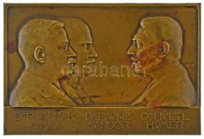 Berán Lajos (1882-1943) 1908. "Dr. Rosenák Miksa - Dr. Paunz Sándor - Dr. Hültl Hümér" kétoldalas bronz emlékplakett (83x56mm) T:AU,XF patina
