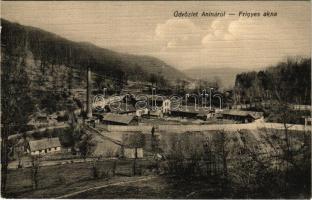 1911 Anina, Stájerlakanina, Steierdorf; Frigyes akna, bánya. Weisz Félix kiadása / mine (EK)
