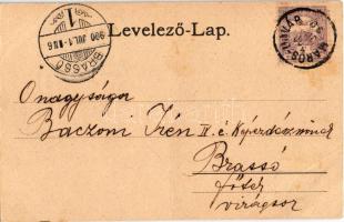 1900 Marosújvár, Uioara, Ocna Mures; Stefánia bánya, belső / salt mine, interior (fa)