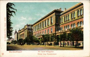 Budapest VIII. Múzeum körút, Kir. József műegyetem (Eötvös Loránd Tudományegyetem), lovaskocsik. Dr. Trenkler és Társa (EK)