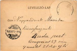 1900 Kolozsvár, Cluj; látkép, Széky palota, híd / general view, palace, bridge (EK)