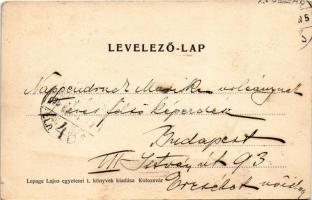 1905 Kolozsvár, Cluj; utcai részlet. Lepage Lajos kiadása / street view (apró szakadás / tiny tear)