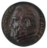 Csúcs Ferenc (1905-1999) 1948. "Dr. Hőgyes Endre születésének 100. évfordulójára" kétoldalas bronz emlékérem. "HŐGYES ENDRE / SZÜLETÉSE 100 ÉVF 1947" (70mm) T:AU