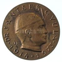 Búza Barna (1910-2010) 1973. "Dr. Jantsek Gyula - 1914-1973 / aláírások" kétoldalas bronz emlékérem (86mm) T:AU patina