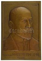 Berán Lajos (1883-1943) 1912 k. "Doctor Haberern Jonathan Pál tanár" egyoldalas öntött bronz plakett (181x125mm) T:AU