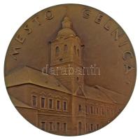Szlovákia 1964. "700 éves Mesto Gelnica (Gölnicbánya) 1264-1964" kétoldalas bronz emlékére...