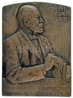 Kautsch, Heinrich (1859-1943) 1903. "Dr. Chyzer Kornél - ETATIS SUAE LXVII" kétoldalas ezüstözött bronz plakett (82x59mm) T:XF HV.: 100.