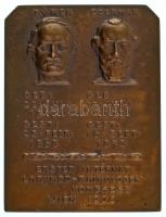 Ausztria 1908. "Türck - Czermak - Első Nemzetközi Fül-Orr-Gégészeti Kongresszus Bécs 1908"...