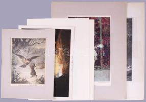 10 db vegyes régi metszet/nyomat, egy részük paszpartuban, változó méretben és állapotban (max. 50x35 cm)