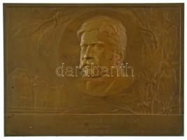 Berán Lajos (1882-1943) 1910. "Pusztaszentpéteri Dr. Herczel Manó Egyet. Tanárnak orvosi működése társadalmi elismeréséül - Hálás tisztelői" kétoldalas bronz plakett (73x100mm) T:XF Hungary 1910. For professor Dr. Manó Herczel in social recognition of his medical work - From his grateful admirers" two-sided bronze plaque. Sign.:Lajos Berán (1882-1943) (73x100mm) C:XF HP.: 1125.