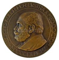 Berán Lajos (1882-1943) 1910. "Adler Alajos - Aloysius Adler per lustra X. med doctor 1860-1910 Skoda-Semmelweis-Pasteur-Röntgen-Ehrlich" kétoldalas, vert, bronz emlékérem (60mm) T:AU,XF  HV.: 2.