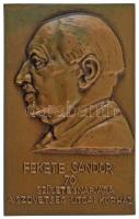 Kisfaludi Strobl Zsigmond (1884-1975) 1954. "Fekete Sándor" egyoldalas, vert, bronz plakett. "FEKETE SÁNDOR 70. SZÜLETÉSNAPJÁRA A SZÖVETSÉG UTCAI KÓRHÁZ" (79x49mm) T:AU,XF Hungary 1954. "Sándor Fekete" one-sided bronze plaque. Sign.: Zsigmond Kisfaludi Strobl (79x49mm) C:AU,XF HV 146.