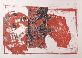 Bodnár Imre (1959-): Kompozíció (cím nélkül), nyomat, papír, jelzés nélkül. 39x28 cm