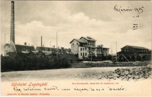 1905 Lupény, Lupeni; Kox kemencék, kokszgyár, mosómű és osztályozómű. Joánovits és Sternád kiadása / coke works, factory, classification plant (EK)