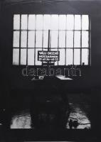 1981 Váli Dezső kiállítása, Műcsarnok, ofszet, papír. Szélén sérült. 58×81,5 cm